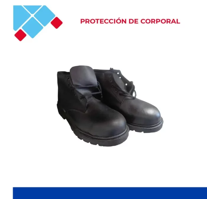 zapato seguridad